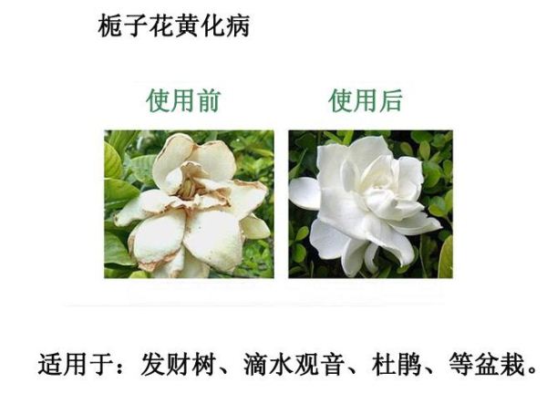 ��Ҫ���၆�FՈ(q��ng)�ܴ�����˾�ͷ���(j��ng)���Ԓ(hu��):13838587319 �O��(j��ng)��