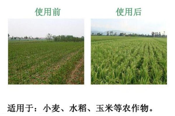 С��ʹ�������r�I�����၆�F�������������r��ԃ13838587319